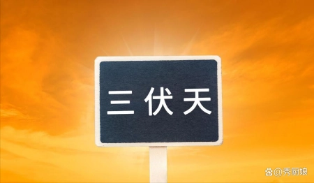 明日夏至，老祖宗留下的关于夏至的6句俗语，每一句都饱含智慧！